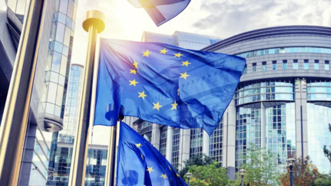european union flags